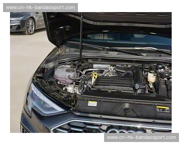 必发APP——让你的娱乐生活更精彩